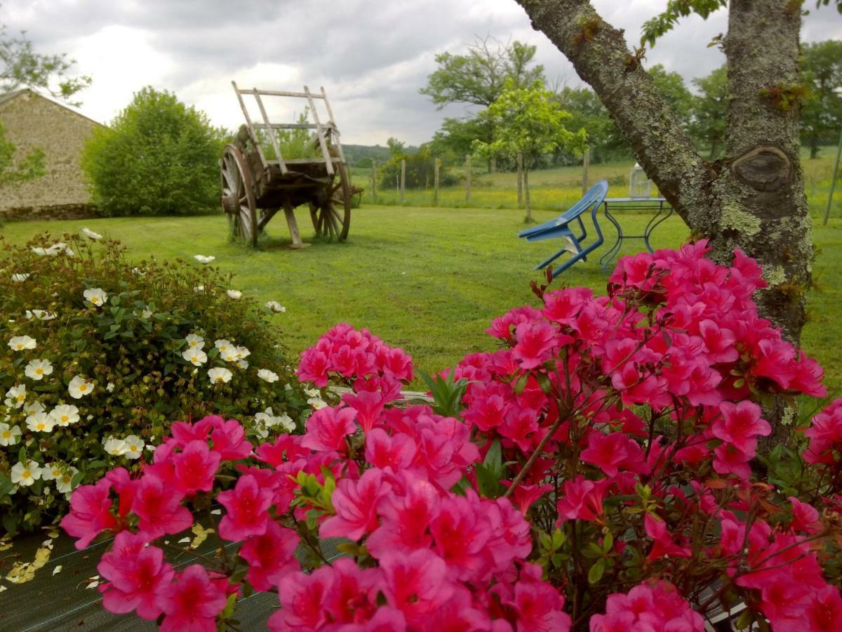 Bed and Breakfast Les Forges de Planechaud Saint-Priest-le-Betoux Exterior foto